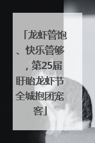 龙虾管饱、快乐管够，第25届盱眙龙虾节全城抱团宠客